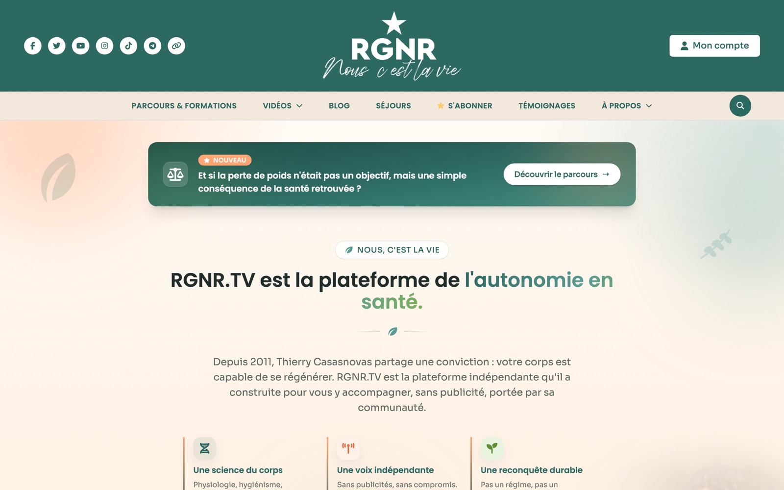 Aperçu du site RGNR